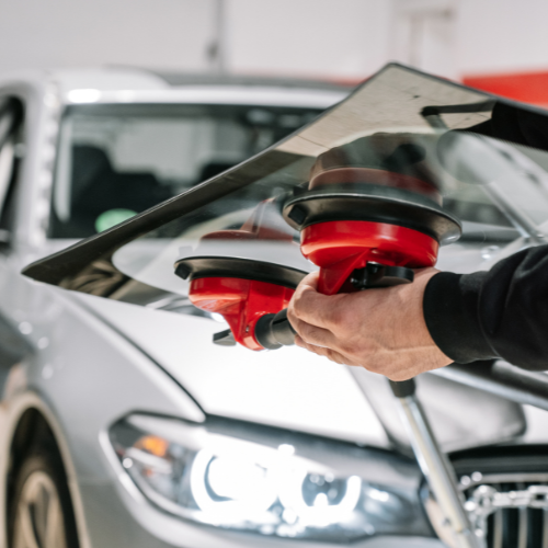 suction cup on glass