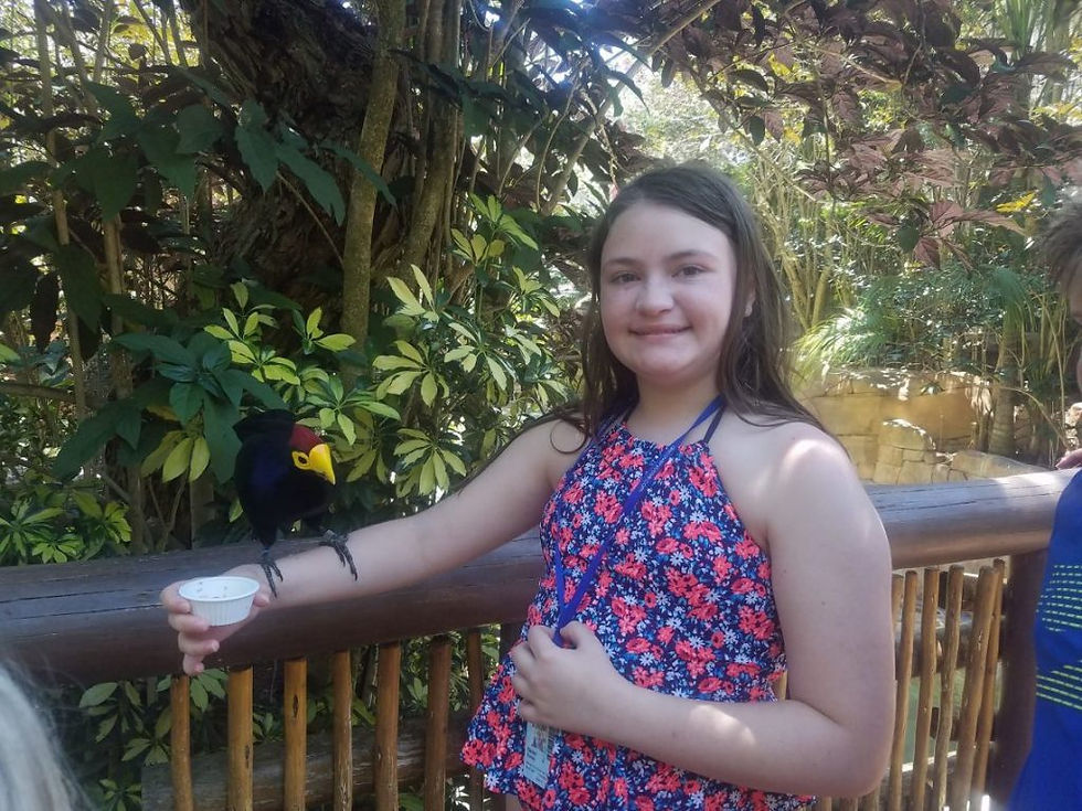 aviary 2
