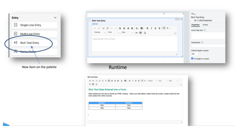 Rich Text Entry feature highlighted on a palette. Runtime display shows rich text entry interface with formatting options and a form with a table.