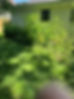Simmons Family Junk Removal Springfield Mo
