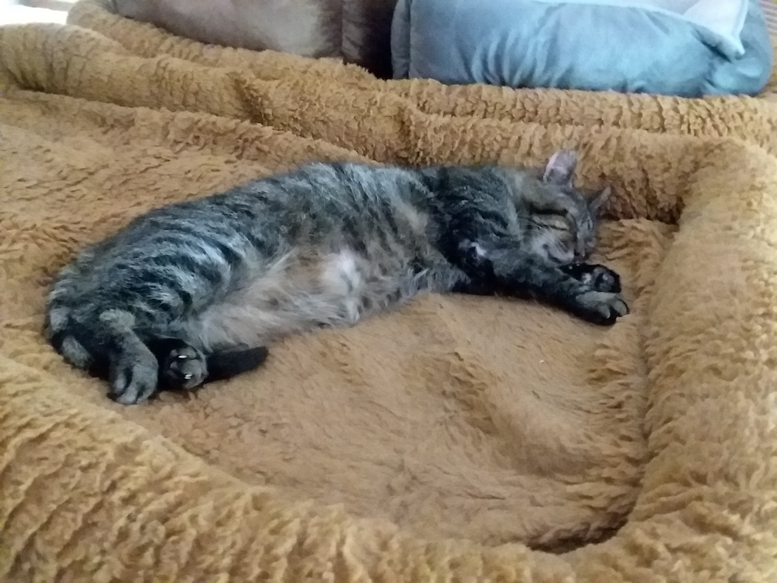 Walter