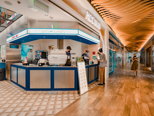 HOOMAN BY T HE SEA (THE PULSE)