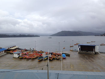 valdivia_14.JPG