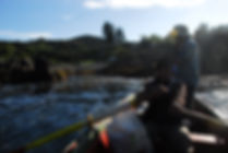 Vina del Mar RDA_2.jpg