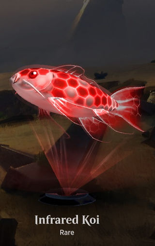 NEO Koi Name 3_edited.jpg