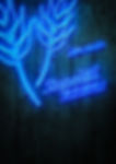 Stapehill-Sessions-Poster_web.jpg
