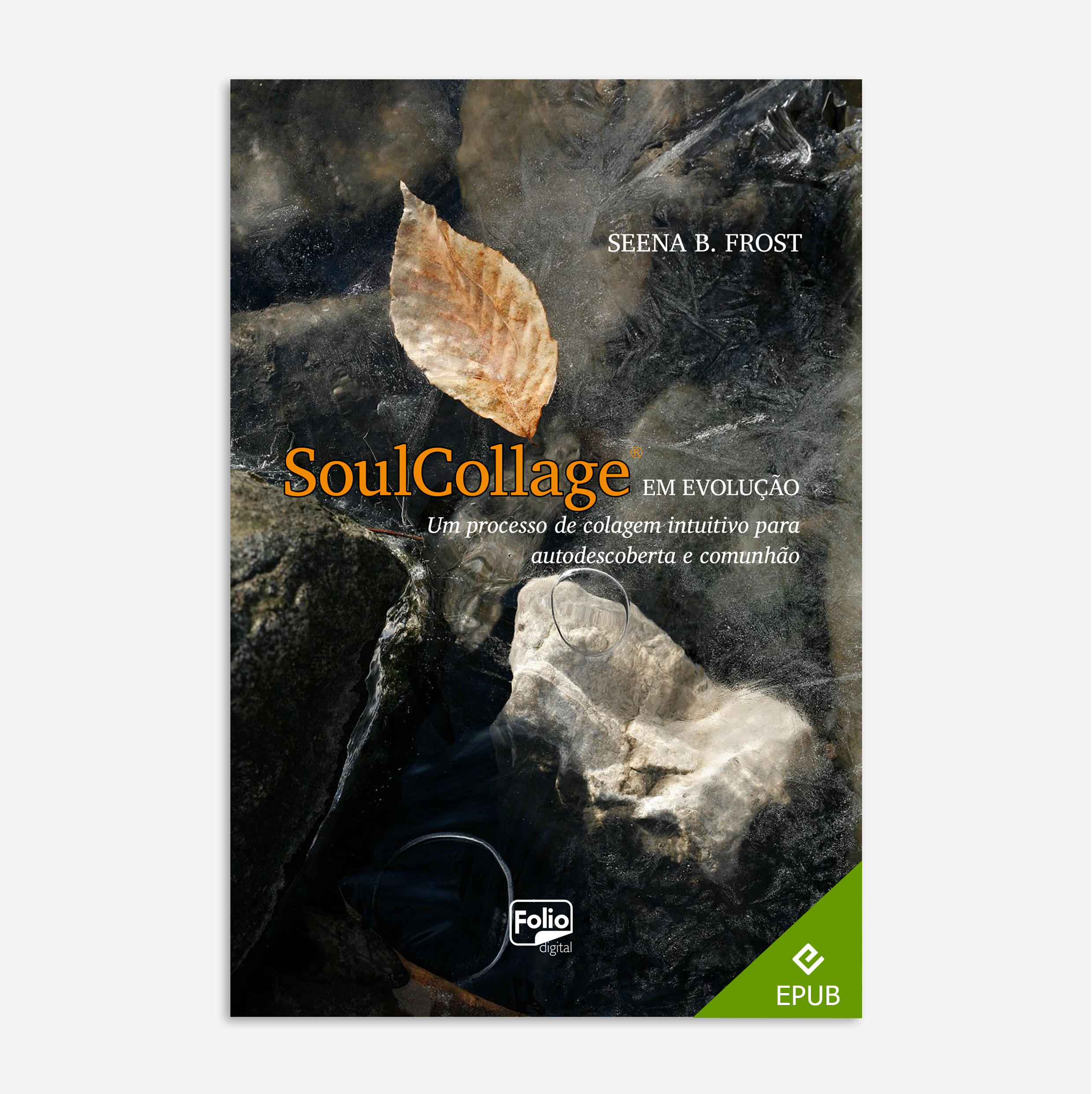 SoulCollage®️ em evolução (e-book)