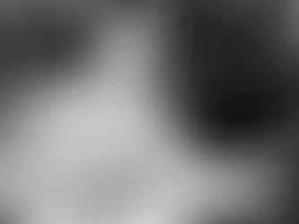 Vannevar Bush: The Man Who Imagined the Internet Before It Existed