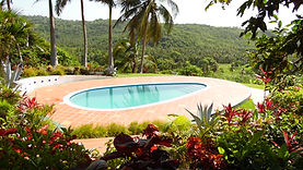 botanical-garden-pool.jpg