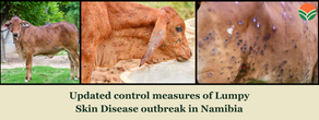 Updated control measures of Lumpy Skin Disease outbreak in Namibia