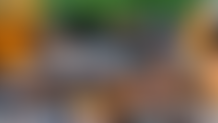 NAU AgriBraai 2026 returns with campfire theme