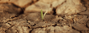 Drought declared a State of Emergency