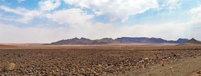 Navigating the Drought