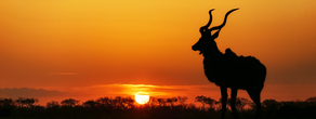 Announcement of Hunting Season 2024