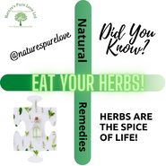 eat your Herbs!.png