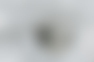 In The News: “Arctic POPs on Decline” says NIST, Stockholm Convention