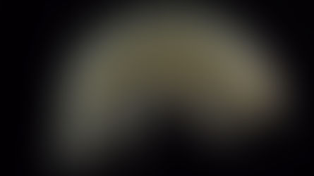 Shame On All Of Us: Our Plastic Is Polluting Marine Life Found 36,000 Ft Below Ocean Surface