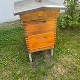 IMG_6203.jpeg