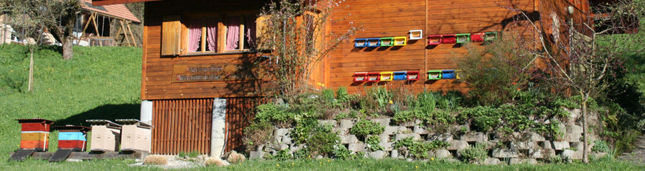 Lehrbienenstand Steingrube.jpg