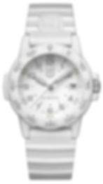 Thumbnail: Leatherback Sea Turtle- Whiteout
