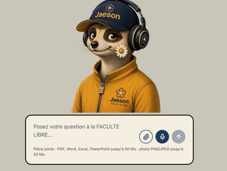 La nomenclature Psychanalytique disponible.