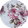 White Pink Rose