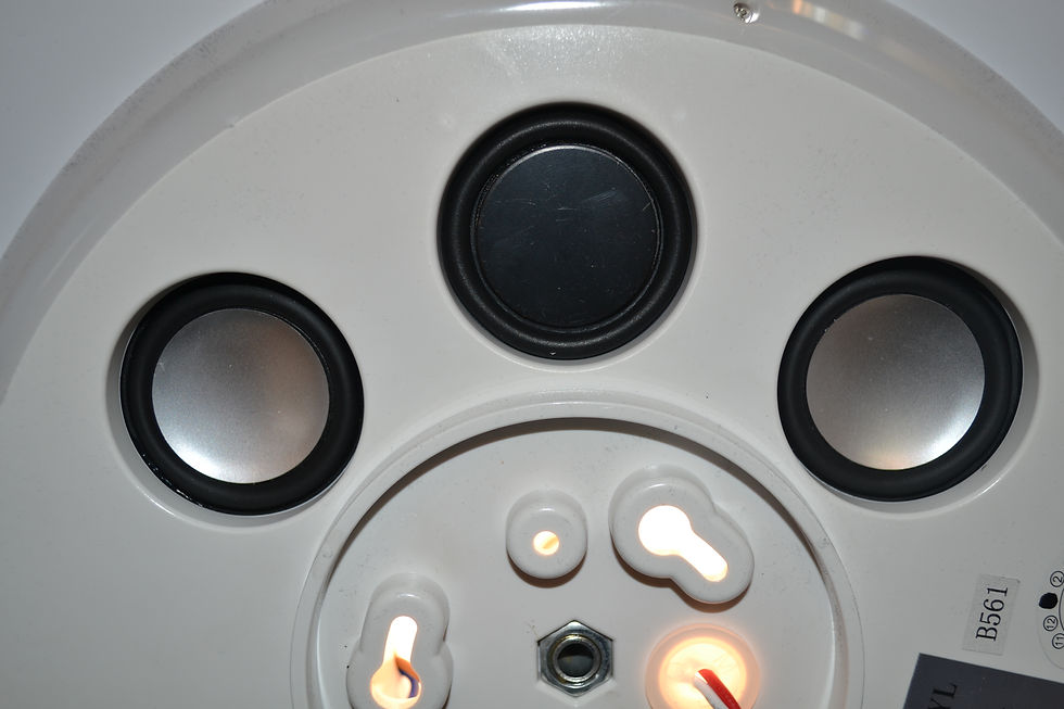 Miniatura: PLAFONIERA LED DIMMERABILE BLUETOOTH CON MUSICA E LUCI RGB