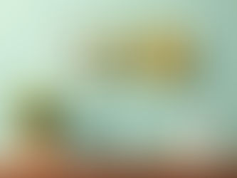 SEO dodawarki – czy warto z nich korzystać?