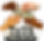 Thank you tips logo_edited_edited.png