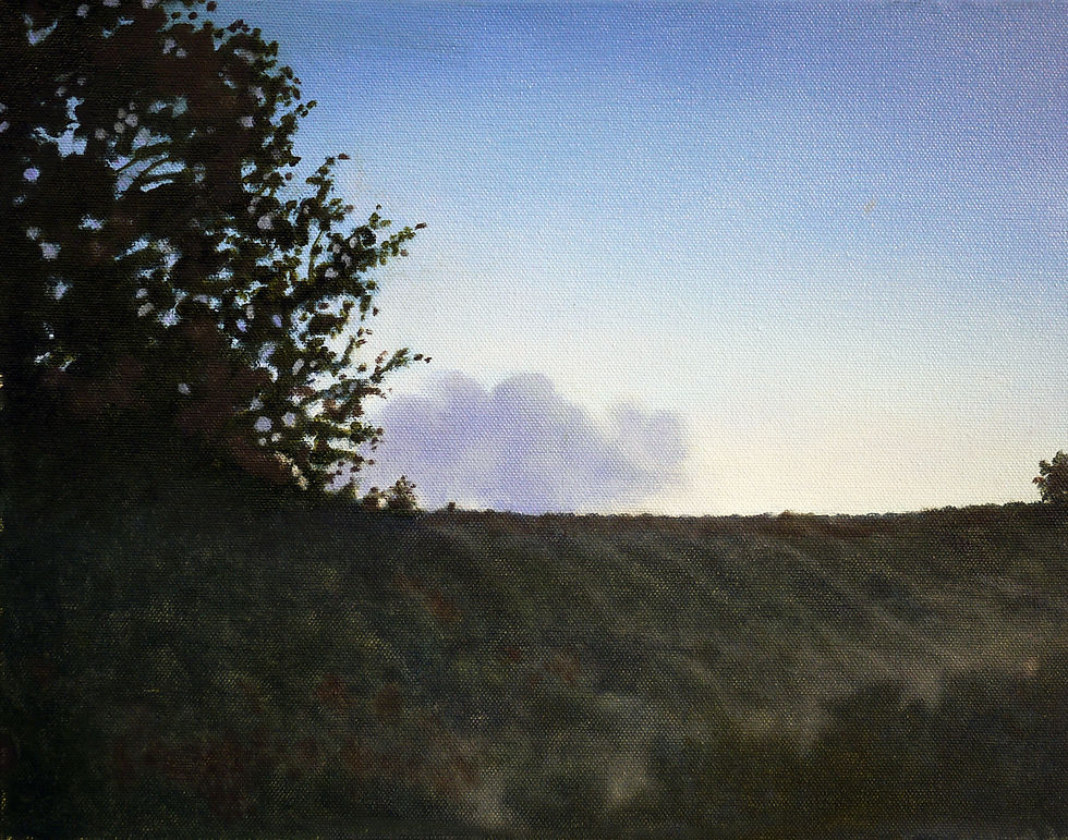 FIELD EDGE