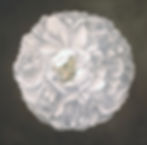 WHITE PEONI