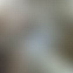 The Art and Craft of Tequila: From Agave to Your Glass