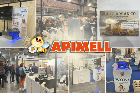 DOLCI RICORDI DA APIMELL 2026