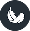 EV1751 icon - LIGHTWEIGHT.png