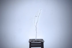 DSC_0143 - Version 2