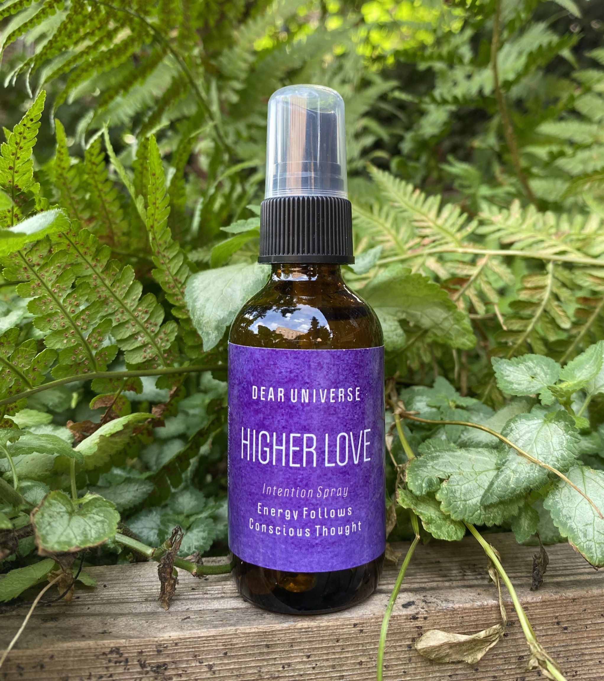 HIGHER LOVE   ...  Connection to Above .......