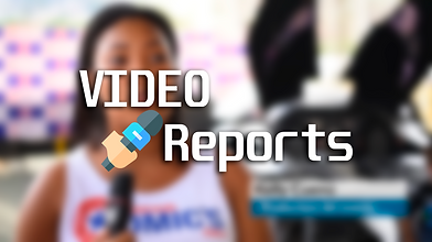 report Portfolio.png