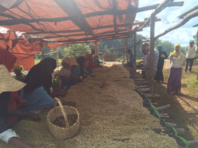 Ethiopia Duromina #8