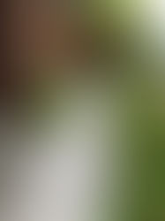 Maximizing Small Yards: How to Make a Tiny Outdoor Space Feel Expansive & Functional