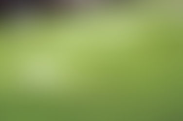 Top 5 Benefits of Irrigation