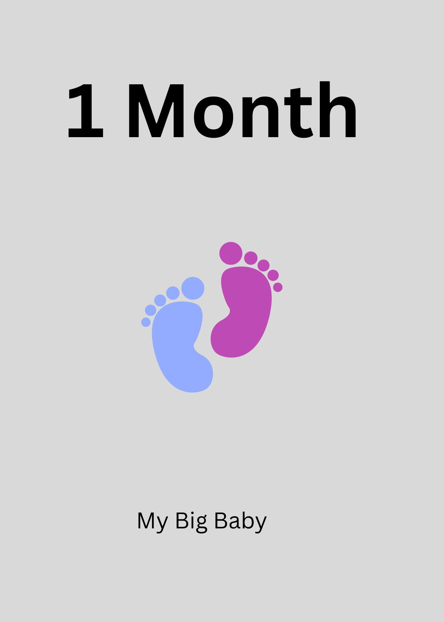 My Big Baby Monthly Milestone Cards (1-12 months)
