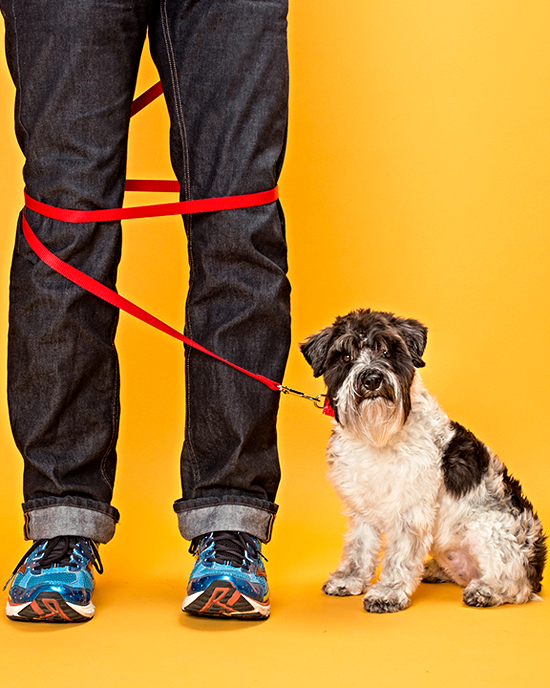Are Retractable Leashes Safe for You and Your Dog? Happy at Home