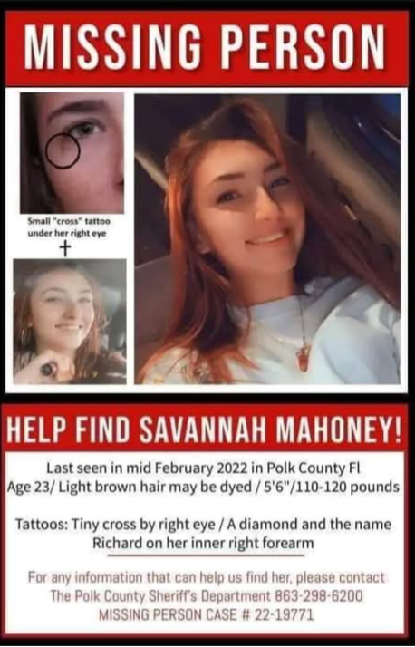 savannah-flyer_orig.png