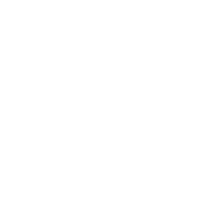 CNSR-3.png
