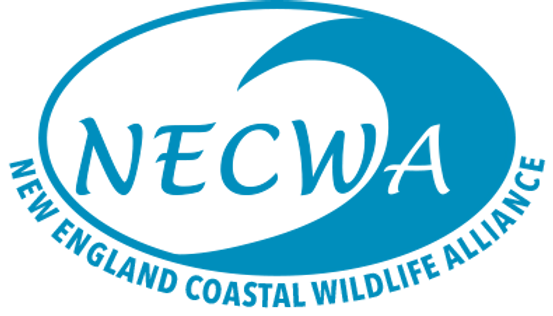 NECWA-logoAll-NewBlue.png