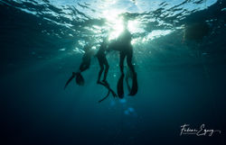 Freedivers. Dahab, Egypt.