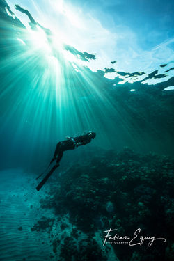 Freediver: Gogo