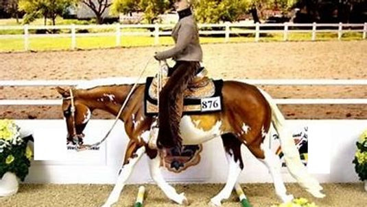 Western Trail Class Saddles