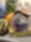 Agnes.JPG