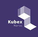 logo kubex.jpeg